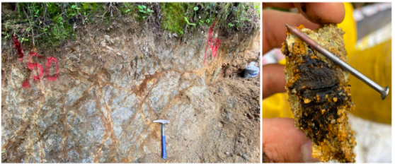 Titan Minerals confirms large copper-gold porphyry system at Copper Duke in Ecuador