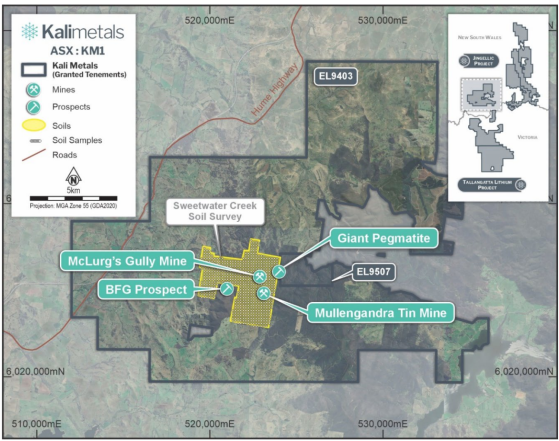 Kali Metals confirms spodumene-bearing pegmatites at Jingellic Project