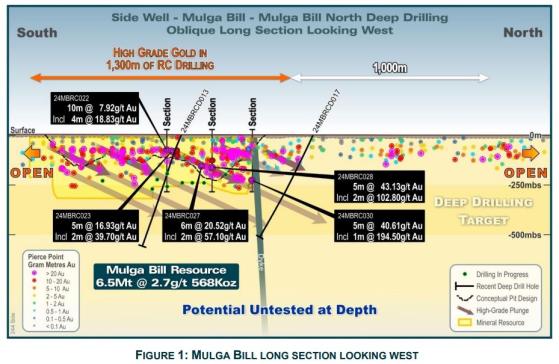 Great Boulder delivers ‘exceptional’ assay results from Mulga Bill ahead of resource update