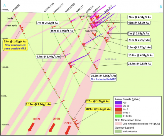 Mako Gold achieves all objectives from diamond drilling at Napié; new zone discocvered at Tchaga