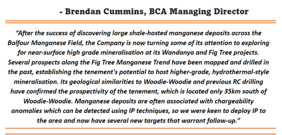 Black Canyon (ASX:BCA) uncovers multiple manganese targets at Fig Tree Project