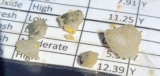 Meeka Metals strikes visible gold at St Anne’s to boost Murchison’s sparkle