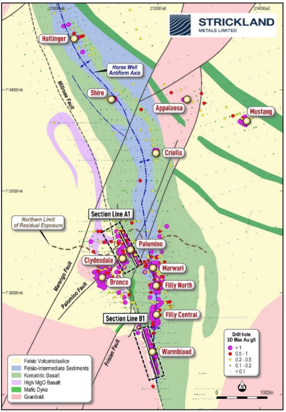 Strickland Metals sees “potentially a very large gold deposit emerging at Horse Well”