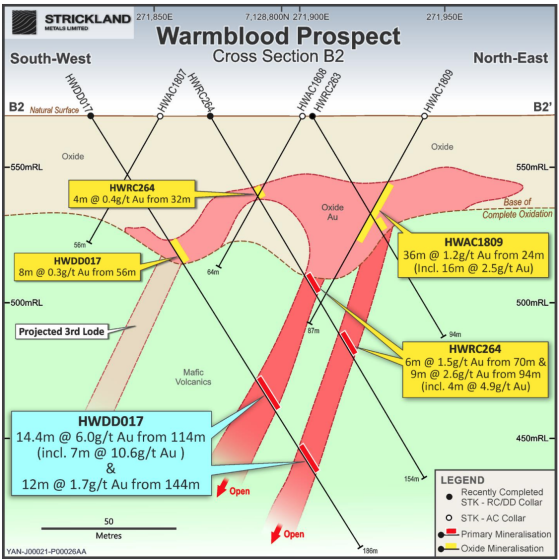 Strickland Metals sees Warmblood emerge as substantial system with 1.4-kilometre gold trend unlocked