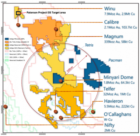 Antipa Minerals buckles down on Paterson Province exploration after WA Government funding boost