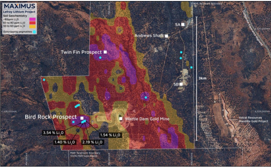 Maximus Resources completes Lefroy soil sampling; discovers new coarse spodumene-bearing pegmatites