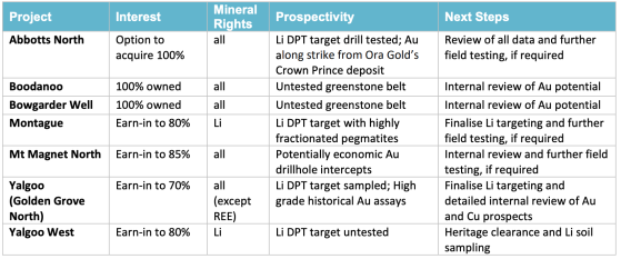 Premier1 Lithium undertaking strategic review of portfolio; assessing gold-copper potential