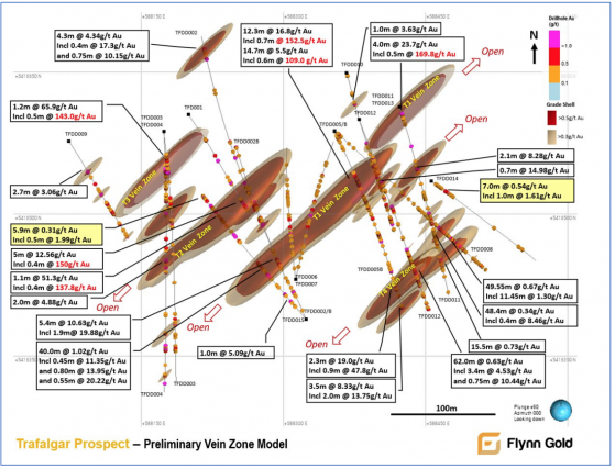 Flynn Gold achieves 94.5% gold recovery from tests on Golden Ridge's Trafalgar Prospect