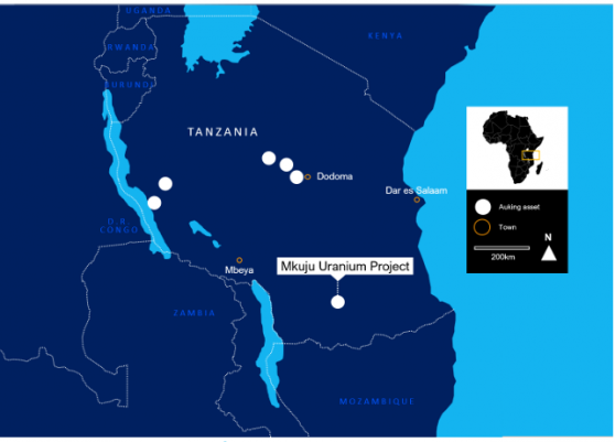 AuKing Mining delivers further “promising” uranium results from Mkuju in Tanzania