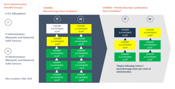 Imugene advances Phase 1 MAST trial for cancer-killing VAXINIA virus