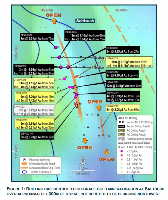 Great Boulder Resources hits high-grade gold at Saltbush, plans extensive follow-up drilling