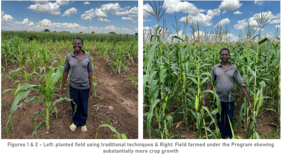 Sovereign Metals' sustainable farming program in Malawi set to triple crop yields