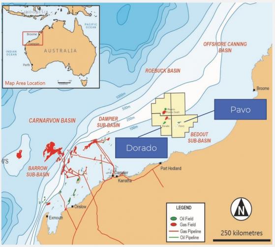 Carnarvon Energy advances studies to integrate Pavo oil field into proposed Dorado production facilities