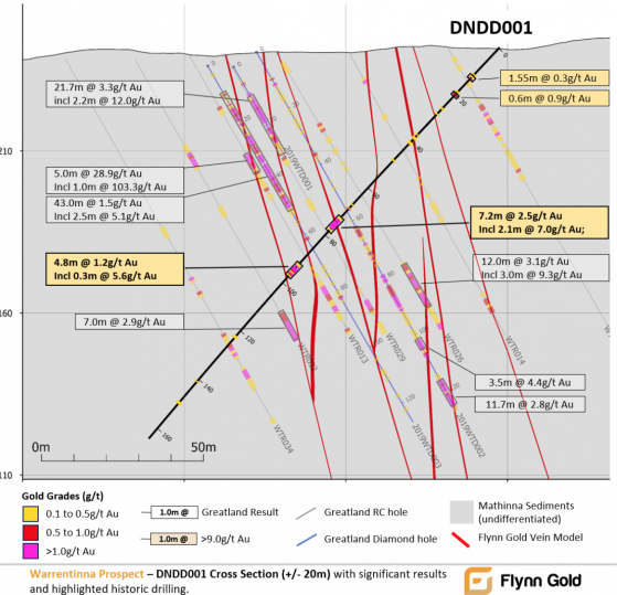 Flynn Gold drilling confirms near surface gold system at Warrentinna, Tasmania