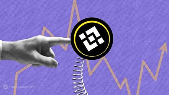 Binance Coin Reclaims Bullish Stance: BNB Outperforms Others