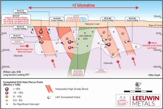 Leeuwin Metals hits high-grade nickel sulphides in initial William Lake drilling